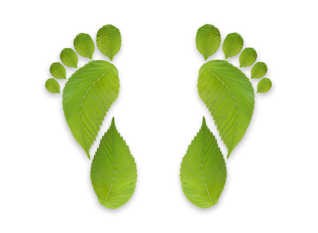 A Short but Comprehensive Guide to Cleaning Up Your Carbon Footprint